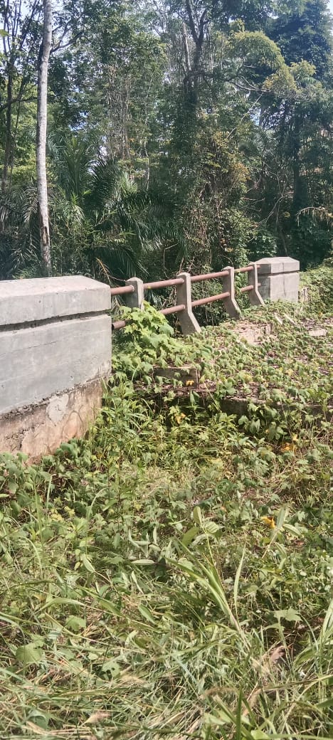 PEMBANGUNAN JEMBATAN DESA BUNGAMAS KIMTIM LAHAT TA 2024 MANGKRAK DIDUGA RUGIKAN NEGARA